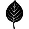 Black Leaf Silhouette Minimal