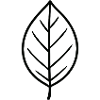 Blatt Minimalist Outline-Design