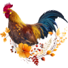 Herbstblüten-Hahnporträt