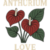 Anthurium Love