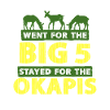 Okapi Animal