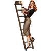 Librarian pinup