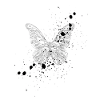 White Butterfly