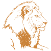 Bronze Lion Line Illustration