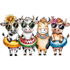 Summer cows