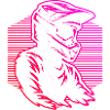 Minimalist motocross motif