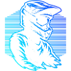 Characterful motocross design