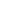 Praying mantis white