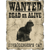 Schrödingers Katze gesucht Tot-oder-lebendig Physik-Wortspiel