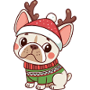 Chiot Noël Bonnet et Pull Vert