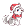 Husky Noël Cartoon Doux