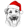 Kaami Christmas