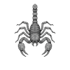 Geometrischer Skorpion Linienkunst
