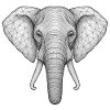 Geometric Elephant Head Sketch Style