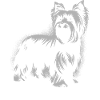 Yorkshire Terrier Design für Hundefreunde