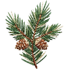 Embroidered Christmas branch – subtle green (printed)