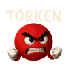 Lustiger Spruch Törken Cartoon Witzig Türkei Meme