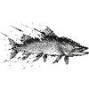 Vecteur d’encre de pêcheurs brochets