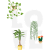 Garden & Plant Lovers Gifts