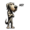 No Irischer Wolfshund Wolfshundbesitzer Wolfshunde