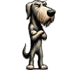 Irischer Wolfshund Wolfshundbesitzer Wolfshundfan