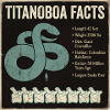 Titanoboa Facts Largest Snake of Prehistoric Times