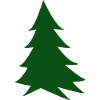 Deep green silhouette fir