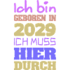 in 2029