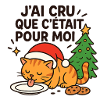 Chat festif Noël: pour moi