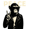 Peaceful Rebel Monkey