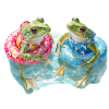 Zwei Frösche im Schwimmring