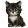 Cute kitten in cute drawing