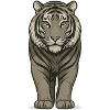Strong tiger in expressive illustration