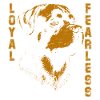 Rottweiler design stylé