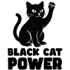 Cat Power