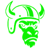 Biker Bull – Racing Spirit & Steel Head
