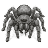 Geometric Web Spider Portrait