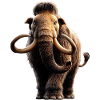 Mammut Ullhårig Mammut Istid Mammutar Söt Mammut