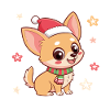 Star Christmas Chihuahua