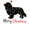 Cavalier King Charles Spaniel Noël Hiver
