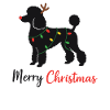 Poodel Christmas Winter Animals Dogs