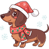 Dackel, warmes Weihnachten