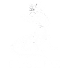 Lizard Funny Lizard