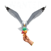 Gesucht Möwe Eiscreme Abenteuer