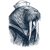 Walrus Captain