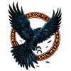Viking Raven Runes, Norse Shirt