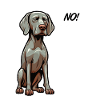 No Weimaraner Weimaraner Lover Weimaraner Dog