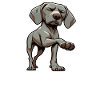 Parlez aux Paw Weimaraner Weimaraner Lovers