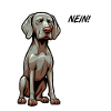 No Weimaraner Weimaraner Lover Weimaraner Dog