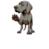 Parlez aux Paw Weimaraner Weimaraner Lovers